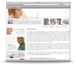 ICCT Website
