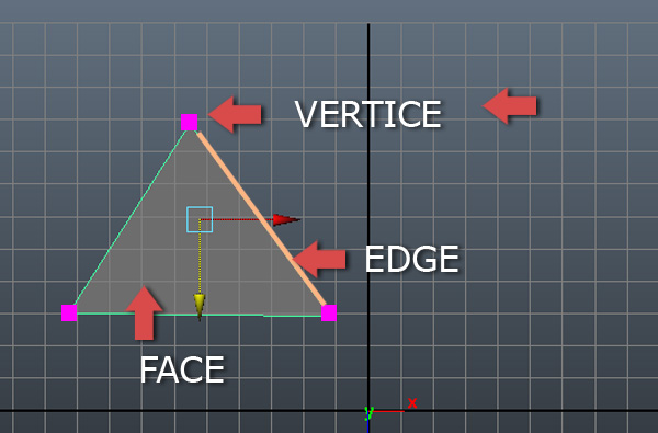 What Are Vertices