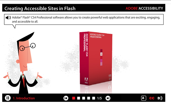 flash accessibility