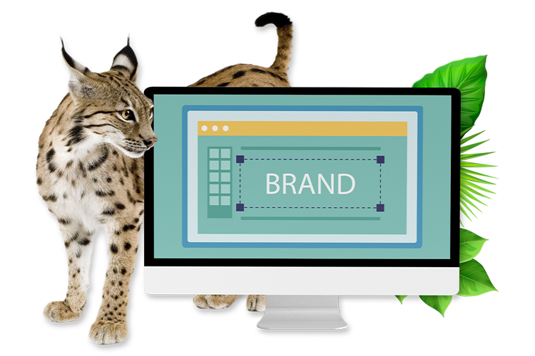 branding agency orlando