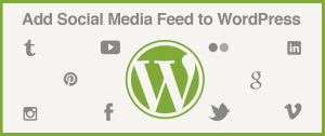 Add Social Media Feed to WordPress