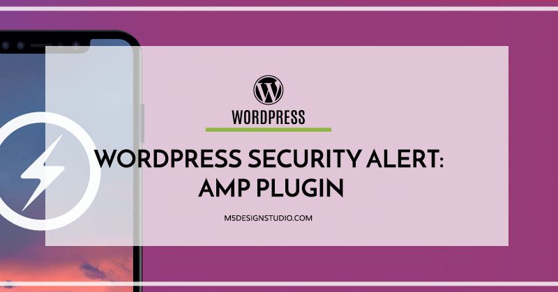 WordPress Developer AMP plugin