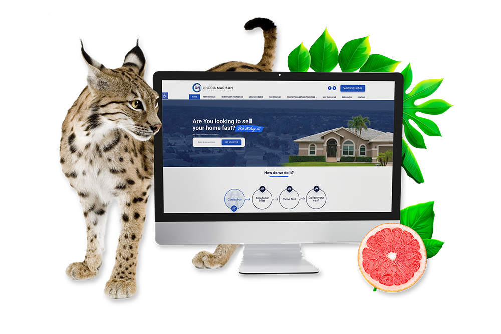 Orlando Web Developement Services