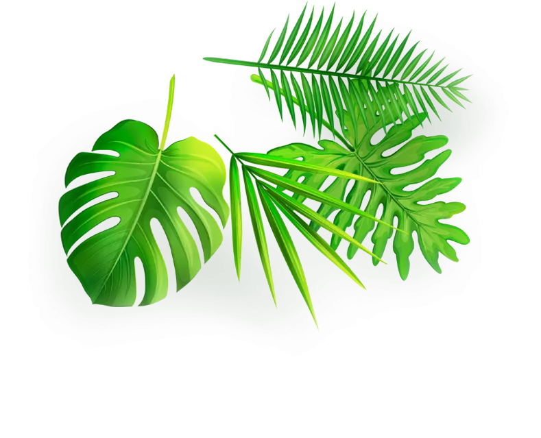 leaves bottom