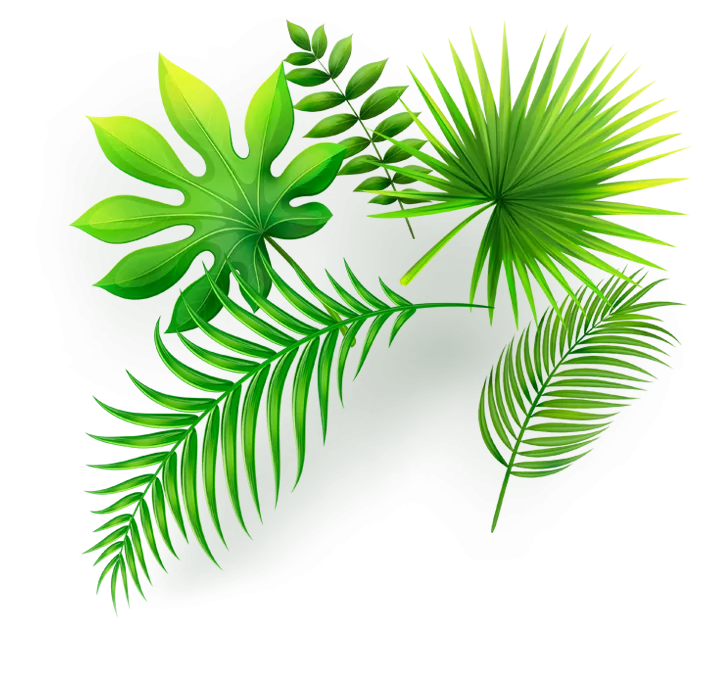 leaves top
