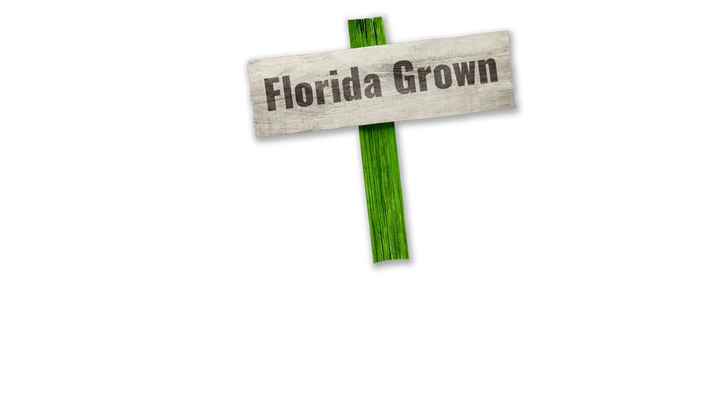 florida grown: orlando digital marketing sign
