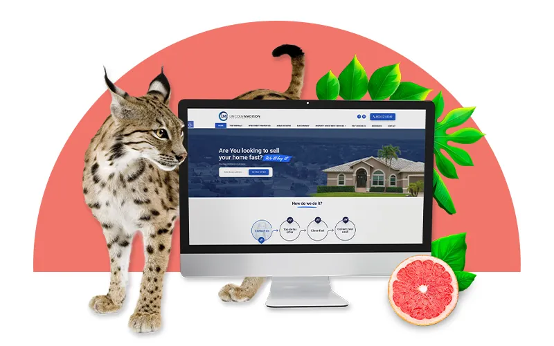 orlando web designers
