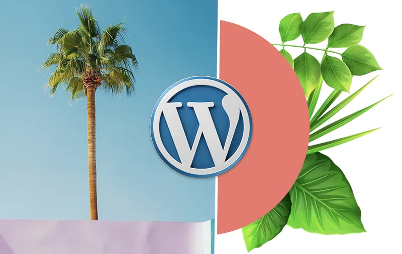 Orlando WordPress Dev