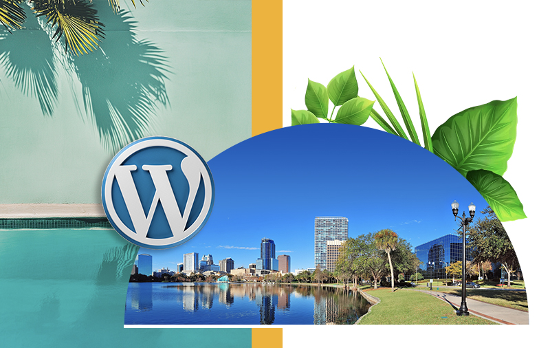 wordpress developer florida