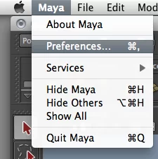 file preferences