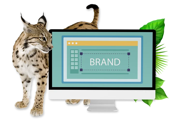 branding agency orlando