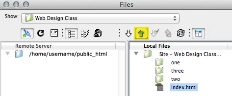 dreamweaver put button