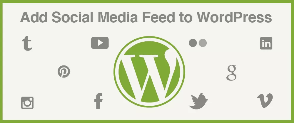 orlando wordpress social media feed plugins