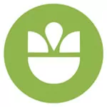 orlando logo design
