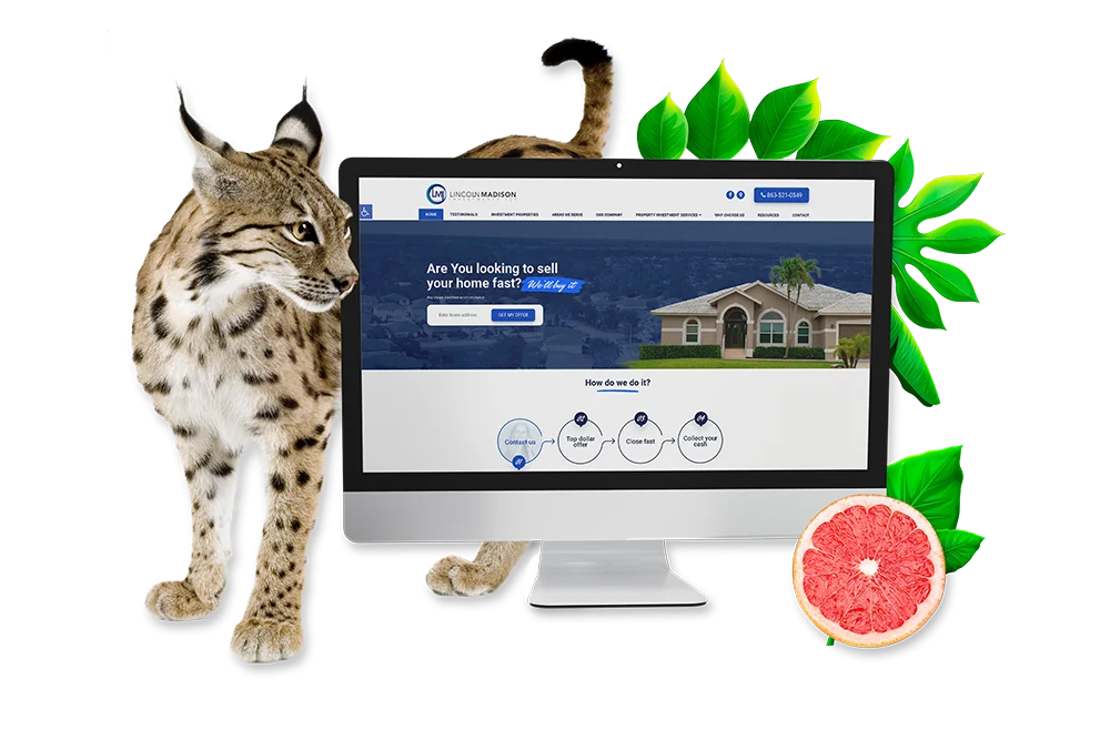 Orlando Web Developement Services